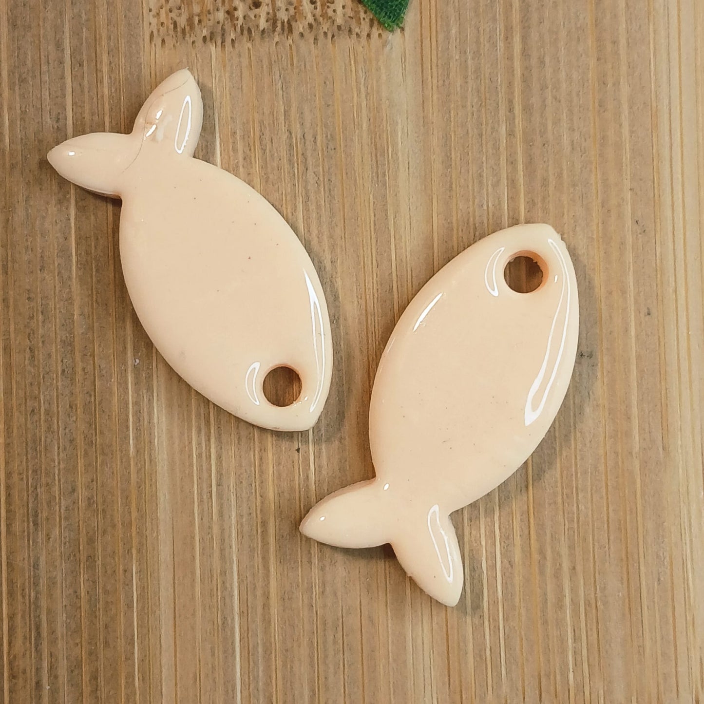 Pampilles Poisson – Pêche
